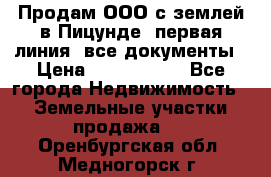 Продам ООО с землей в Пицунде, первая линия, все документы › Цена ­ 9 000 000 - Все города Недвижимость » Земельные участки продажа   . Оренбургская обл.,Медногорск г.